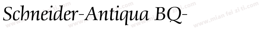 Schneider-Antiqua BQ字体转换